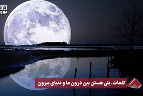 نورنما | کلمات، پلی هستن بین درون ما‌‌ و دنیای بیرون