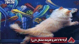 نورنما | گربه‌ها با هنر و هنرمند مشکل دارن!
