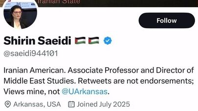 Iranian professor at University of Arkansas fired