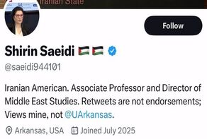 Iranian professor at University of Arkansas fired