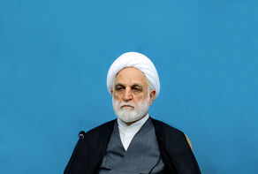 اژه ای: ماندن زندانیان ناتوان از ردمال، یک معضل پیچیده قضایی است