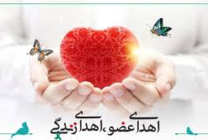 پایان یک زندگی، آغاز سه زندگی