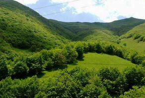 Iran, UNESCO to coop. in nat. resource sustainable management