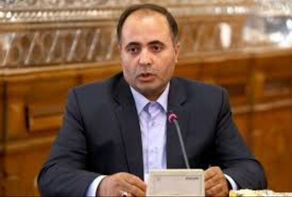 قیمت گذاری گندم باید تا هفته آینده قطعی و اعلام شود