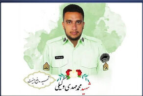 حکم قصاص قاتل مأمور نیروی انتظامی در چهارباغ اجرا شد