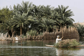 تالاب «شادگان» جان گرفت