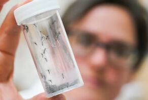تلاش‌های بین‌المللی برای مهار ویروس مرگبار با ردیابی مسافران کشتی آغاز شد