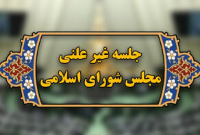 وضعیت بازار در جلسه غیرعلنی مجلس بررسی شد