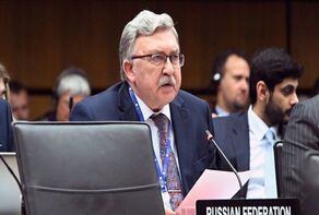 US resolution on Hormuz Strait ‘not right’: Ulyanov