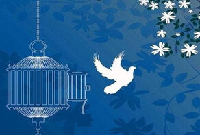 یک پرونده قصاص با صلح و سازش پایان یافت