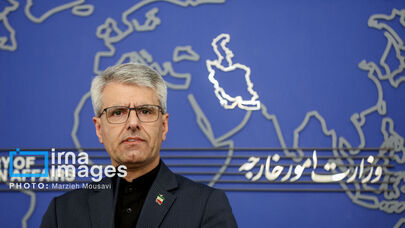 Baqaei: US attacked Iranian nation's pulse of life