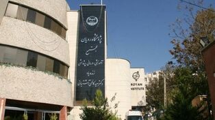 Europeans come to Iran for infertility treatment