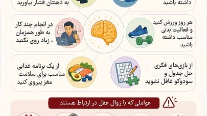 نوراینفو | 6 راهکار طبیعی برای تقویت حافظه و جوان نگه داشتن مغز
