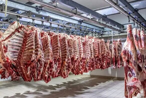 قیمت گوشت قرمز امروز 25 مرداد 1405 + جدول قیمت گوشت گوسفندی و گوساله