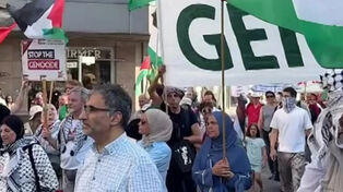 Демонстрации в Германии и Южной Корее против сионистского режима и в поддержку палестинского народа