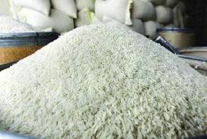 ثبت سفارش واردات برنج از امروز آغاز شد