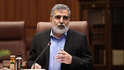 Iran has strong resolve, ample options to defend itself
