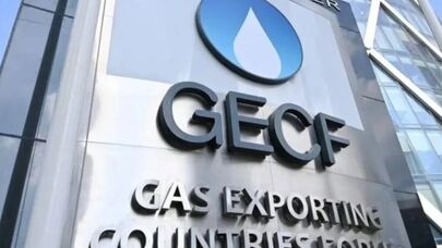 Iran’s active participation in GECF in line with strengthening multilateralism: Ambassador