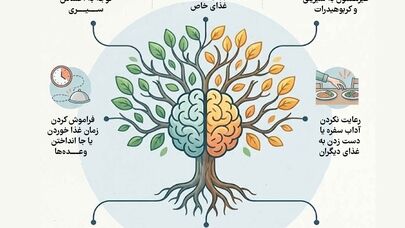 نوراینفو/ ردپای آلزایمر و دمانس در غذا خوردن؛ ۸ نشانه مهم را بشناسید
