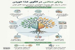 نوراینفو/ ردپای آلزایمر و دمانس در غذا خوردن؛ ۸ نشانه مهم را بشناسید