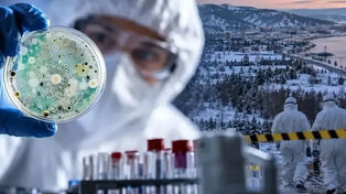 Russia’s Plague: A Distant Threat or a Warning for Iran?