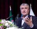 اسلامی: صنعت هسته‌ای ایران زیر فشار تحریم و حمله هم متوقف نشد