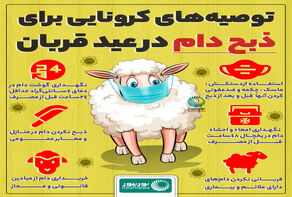 توصیه ‎های کرونایی برای ذبح دام در عید قربان