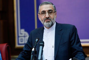 تشریح نحوه آزاد سازی مهندس ایرانی از سوی سخنگوی قوه قضاییه