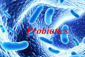 Production of probiotics from native microorganisms to strengthen the immune system