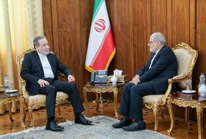 عراقجی یؤکد على تسخیر کافة الإمکانیات الدبلوماسیة لحمایة المصالح الوطنیة

