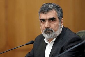 Представитель ОАЭИ: Иран отстоит национальные интересы дипломатией или силой