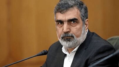 Представитель ОАЭИ: Иран отстоит национальные интересы дипломатией или силой