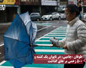 نورنما | طوفان «چامپی » در تایوان یک کشته و ۵۰۰ زخمی بر جای گذاشت
