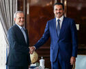 Qatar’s Emir Meets Pezeshkian in Russia, Emphasizes Expansion of Energy Cooperation