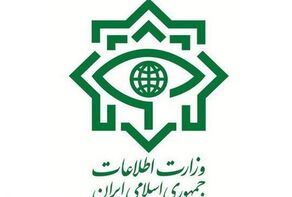 وزارة الأمن: تفکیک 4 خلایا عملیاتیة تابعة لجماعة إرهابیة فی جنوب شرق البلاد

