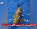 نورنما | ربات ماهی بیونیک ساخت چین برای پایش محیط زیر آب ...