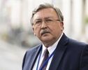 Ульянов: Развитие ядерной программы - неотъемлемое право Ирана