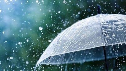 هشدار جهاد کشاورزی به زعفران‌کاران؛ آبیاری مزارع را به تأخیر نیندازید