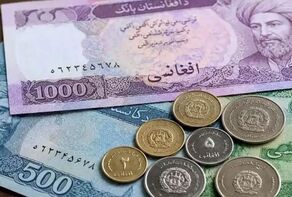 قیمت افغانی امروز ۱۹ مهر ۱۴۰۵؛ افزایش نرخ در بازار ارز